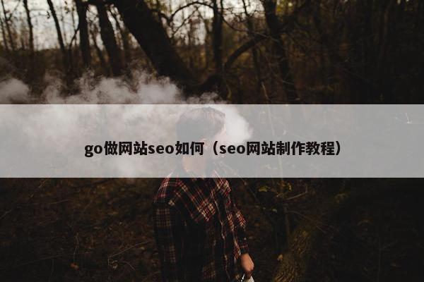 go做网站seo如何（seo网站制作教程）