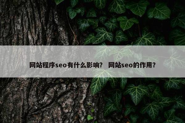 网站程序seo有什么影响？ 网站seo的作用？