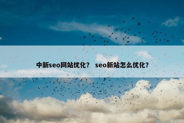中新seo网站优化？ seo新站怎么优化？