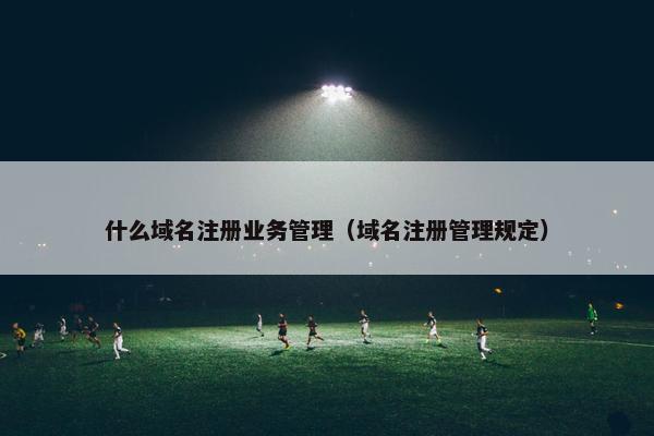 什么域名注册业务管理（域名注册管理规定）