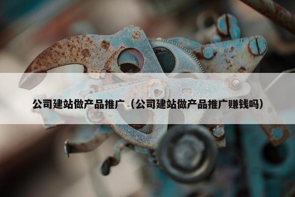 公司建站做产品推广（公司建站做产品推广赚钱吗）