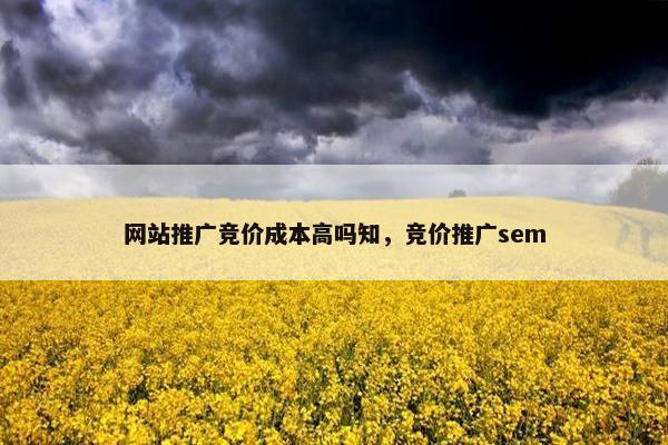 网站推广竞价成本高吗知，竞价推广sem