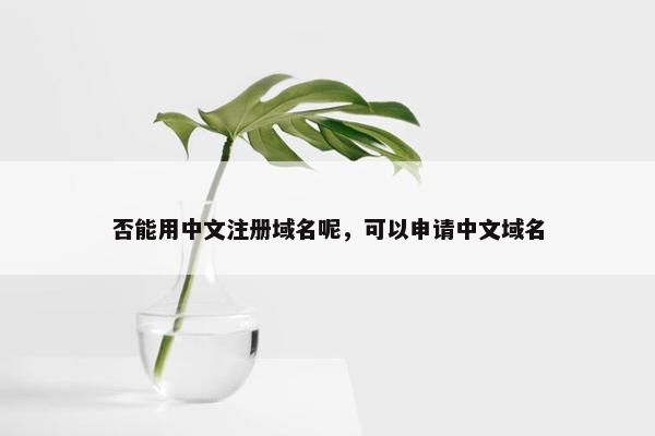 否能用中文注册域名呢，可以申请中文域名