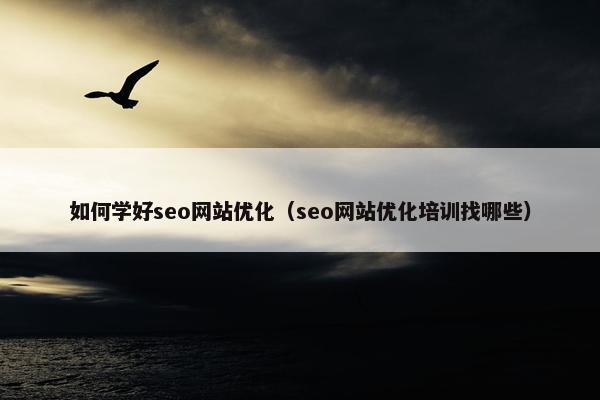 如何学好seo网站优化（seo网站优化培训找哪些）