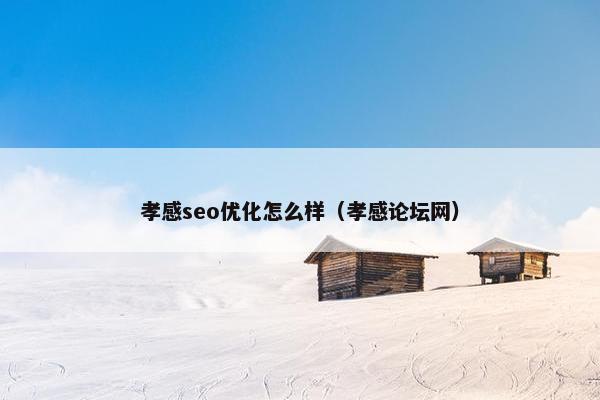 孝感seo优化怎么样（孝感论坛网）