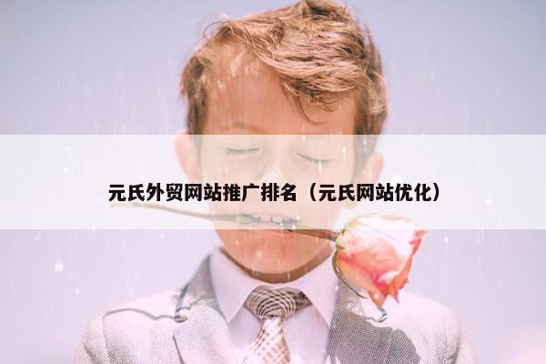 元氏外贸网站推广排名（元氏网站优化）