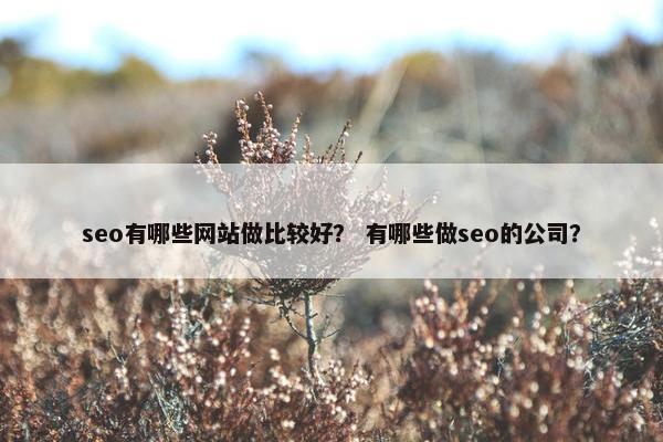 seo有哪些网站做比较好？ 有哪些做seo的公司？