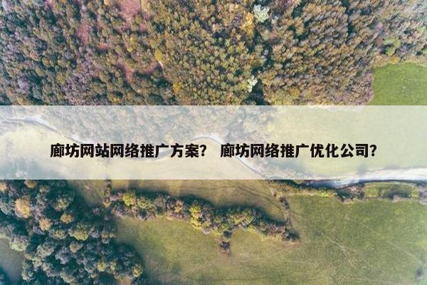 廊坊网站网络推广方案？ 廊坊网络推广优化公司？
