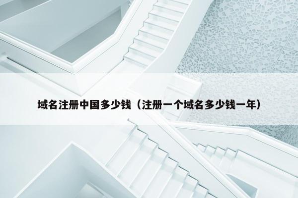 域名注册中国多少钱（注册一个域名多少钱一年）