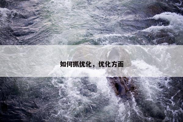 如何抓优化，优化方面