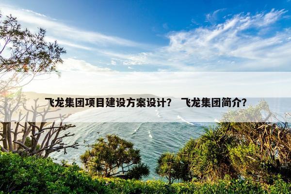 飞龙集团项目建设方案设计？ 飞龙集团简介？