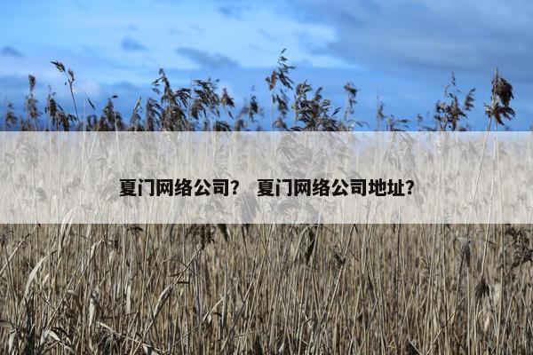 夏门网络公司？ 夏门网络公司地址？