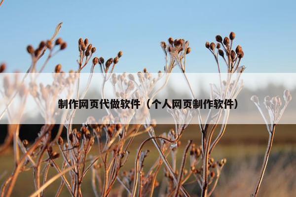 制作网页代做软件（个人网页制作软件）
