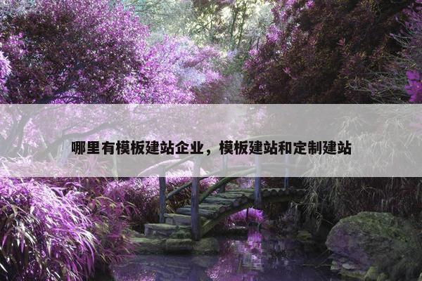 哪里有模板建站企业，模板建站和定制建站