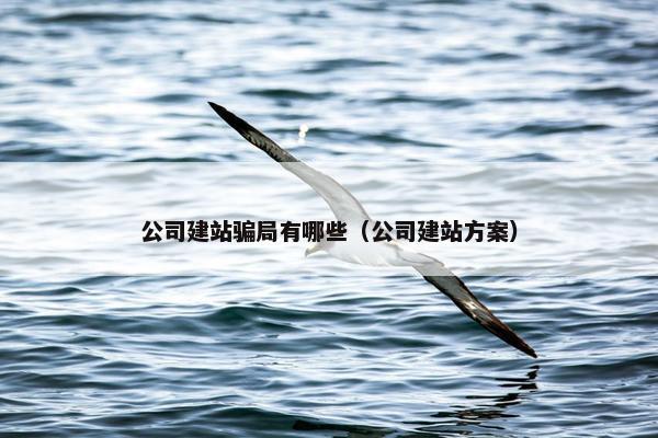 公司建站骗局有哪些（公司建站方案）
