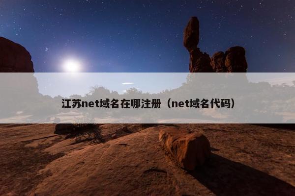 江苏net域名在哪注册（net域名代码）