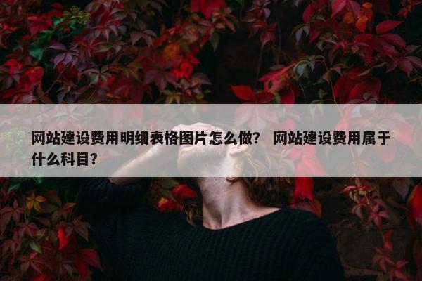 网站建设费用明细表格图片怎么做？ 网站建设费用属于什么科目？