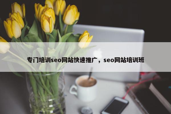 专门培训seo网站快速推广，seo网站培训班