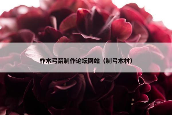 柞木弓箭制作论坛网站（制弓木材）