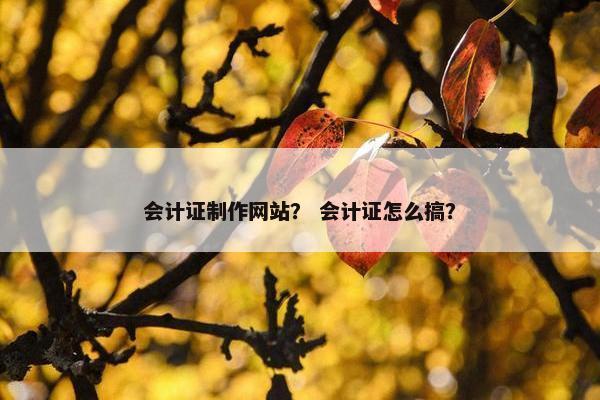 会计证制作网站？ 会计证怎么搞？