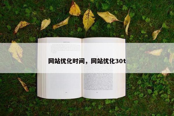 网站优化时间，网站优化30t