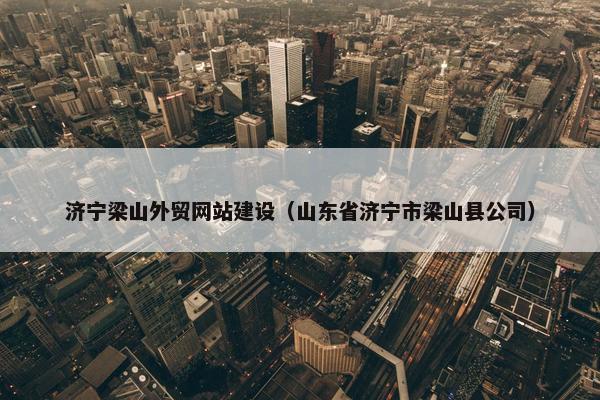 济宁梁山外贸网站建设（山东省济宁市梁山县公司）