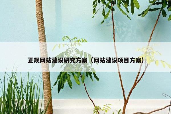 正规网站建设研究方案（网站建设项目方案）