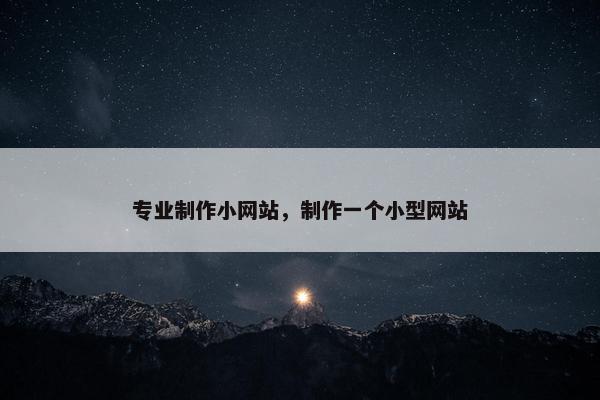 专业制作小网站，制作一个小型网站