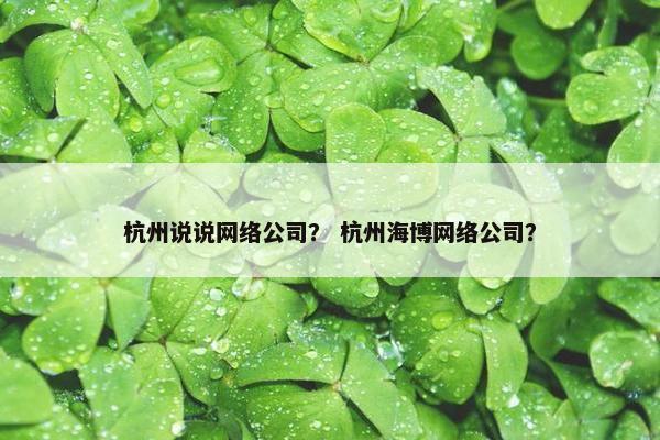 杭州说说网络公司？ 杭州海博网络公司？