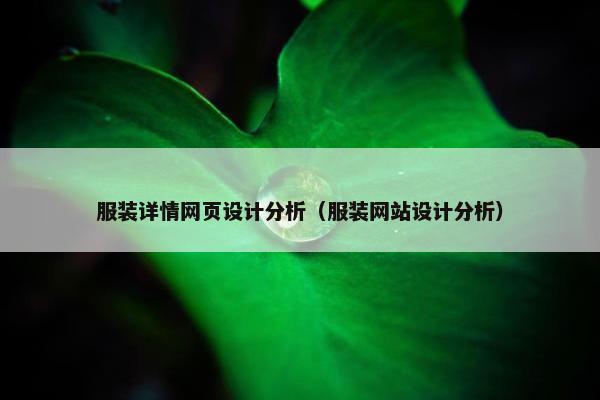 服装详情网页设计分析（服装网站设计分析）