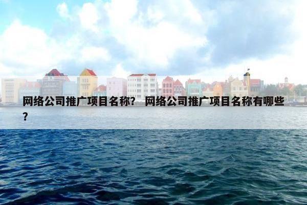 网络公司推广项目名称？ 网络公司推广项目名称有哪些？