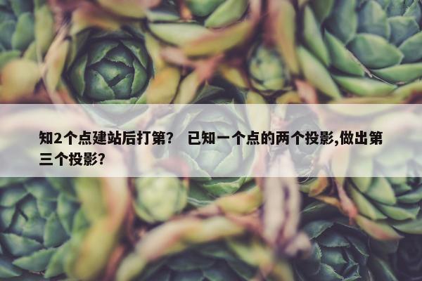 知2个点建站后打第？ 已知一个点的两个投影,做出第三个投影？