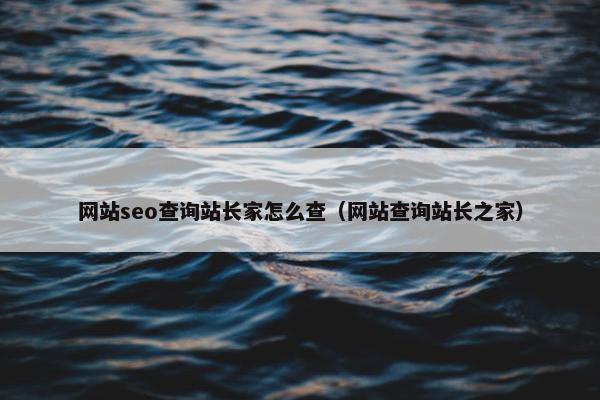 网站seo查询站长家怎么查（网站查询站长之家）