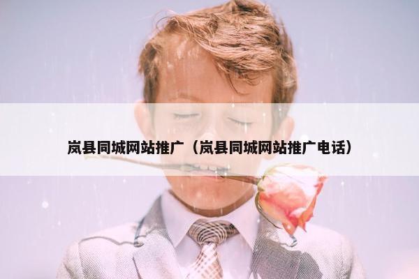 岚县同城网站推广（岚县同城网站推广电话）