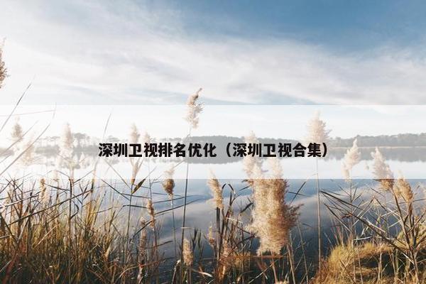 深圳卫视排名优化（深圳卫视合集）