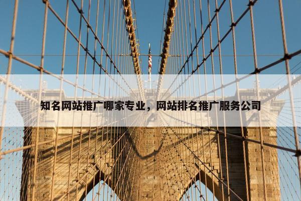 知名网站推广哪家专业，网站排名推广服务公司