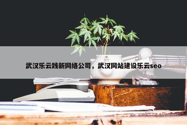 武汉乐云践新网络公司，武汉网站建设乐云seo