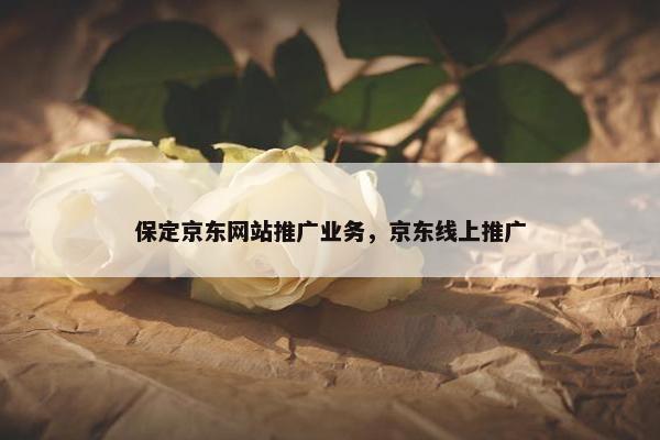 保定京东网站推广业务，京东线上推广