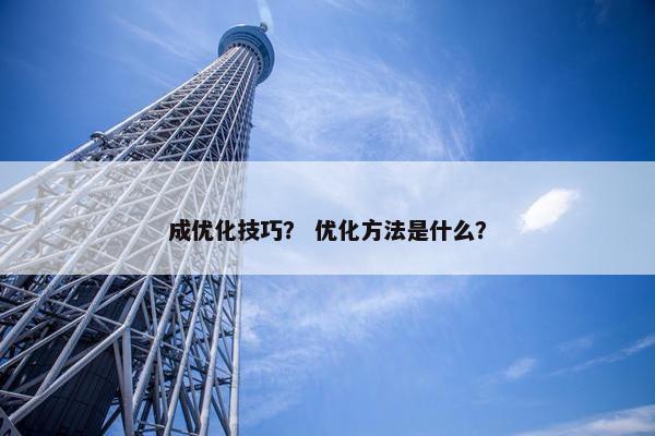 成优化技巧？ 优化方法是什么？