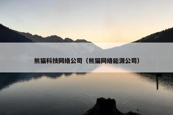 熊猫科技网络公司（熊猫网络能源公司）