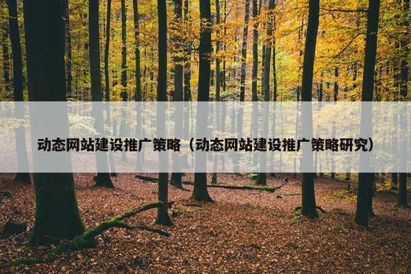动态网站建设推广策略（动态网站建设推广策略研究）