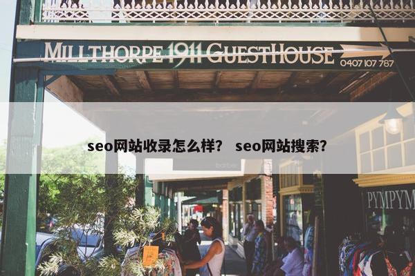 seo网站收录怎么样？ seo网站搜索？