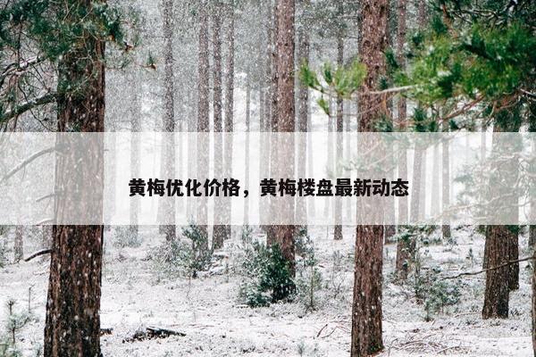 黄梅优化价格，黄梅楼盘最新动态