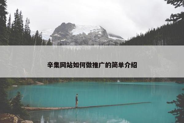 辛集网站如何做推广的简单介绍