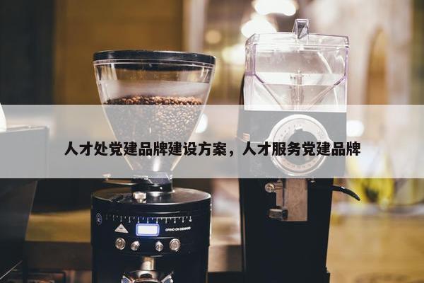 人才处党建品牌建设方案，人才服务党建品牌