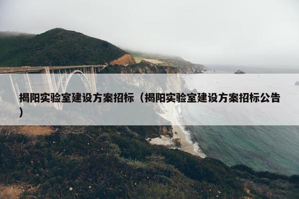 揭阳实验室建设方案招标（揭阳实验室建设方案招标公告）