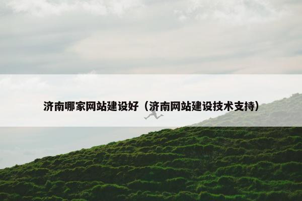 济南哪家网站建设好（济南网站建设技术支持）
