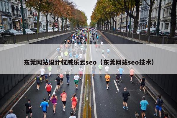 东莞网站设计权威乐云seo（东莞网站seo技术）