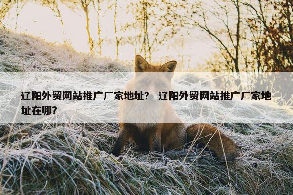 辽阳外贸网站推广厂家地址？ 辽阳外贸网站推广厂家地址在哪？