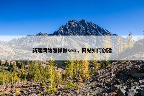 新建网站怎样做seo，网站如何创建